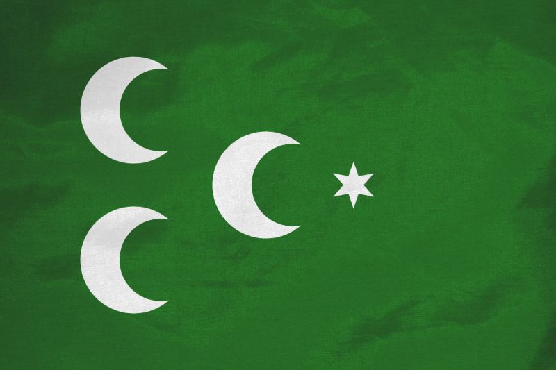 文件:Countryflag 奥斯曼.jpg